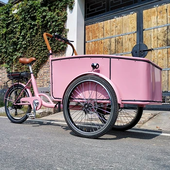 250 Вт Сине-розовые городские электрические грузовые велосипеды-самокаты Семейного использования, грузовые мотоциклы-трехколесные велосипеды для перевозки грузов